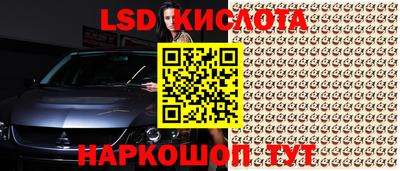 прущие крисы Новодвинск